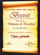 Diploma de excelenta 2008
