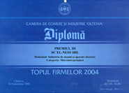 Topul firmelor 2004