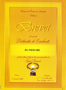 Diploma de excelenta 2007